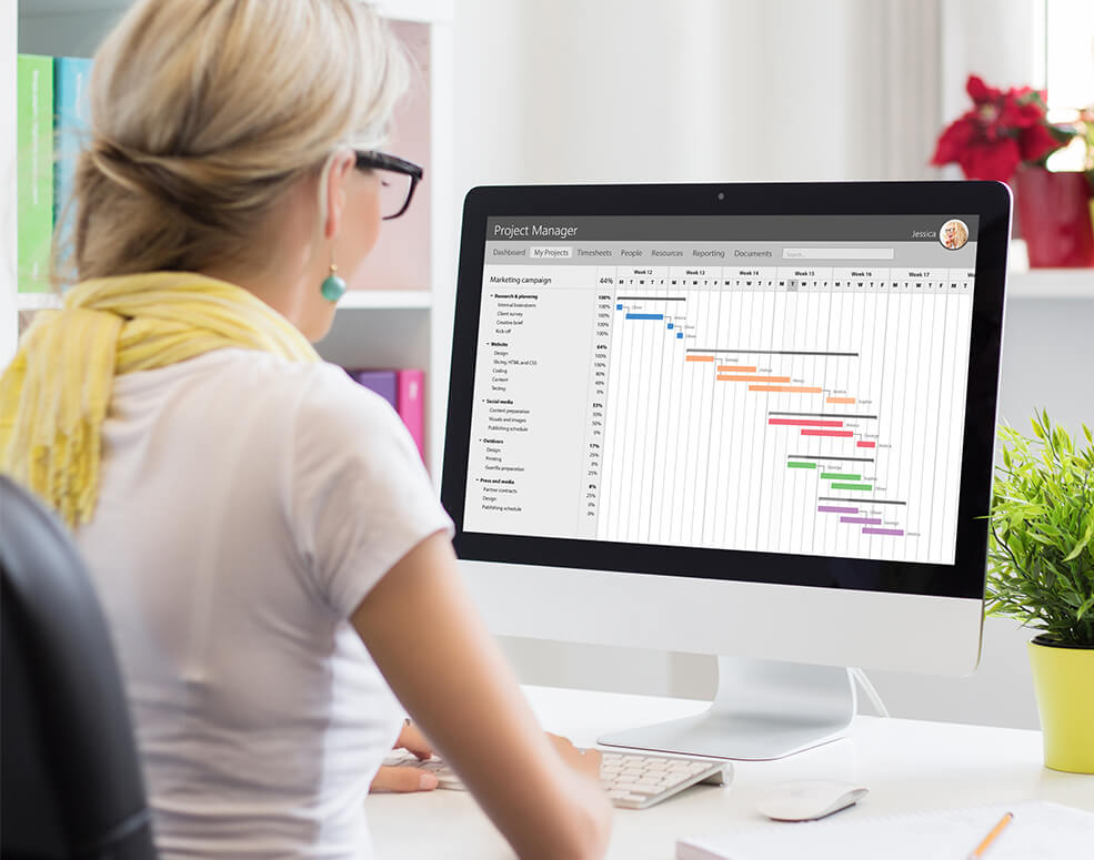 Moxam Management Consulting's Project Managament